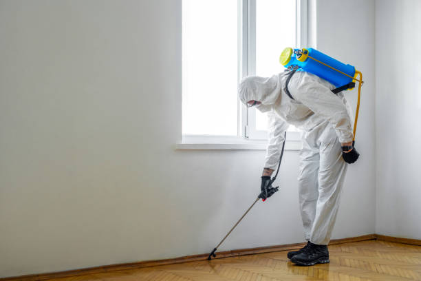 Best Affordable Pest Control Services  in Carlinvle, IL