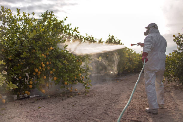 Insect Control in Carlinville, IL