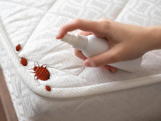 Best Insect Control  in Carlinvle, IL