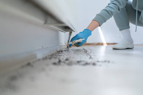 Trusted Carlinville, IL Pest Control Experts